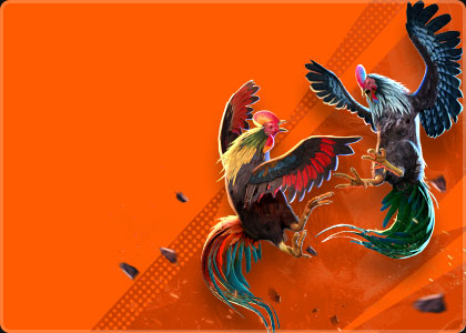 Đá Gà ODIN
